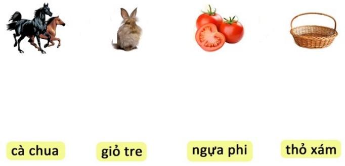 Em hãy nối từ ngữ với hình tương ứng:  (ảnh 1)