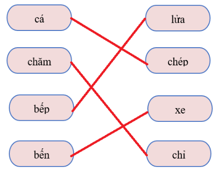 Nối từ thích hợp: (ảnh 2)