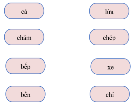 Nối từ thích hợp: (ảnh 1)