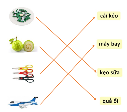 Em hãy nối từ ngữ với hình tương ứng:  (ảnh 2)