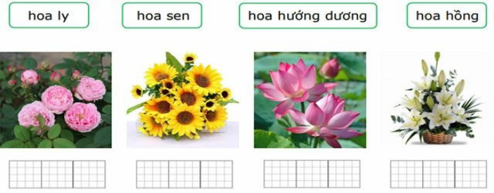 Chọn từ ngữ chỗ trống thích hợp (ảnh 1)