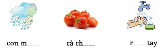 Điền vào chỗ trống ua hoặc ưa (ảnh 1)