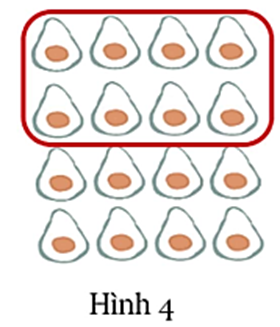 Trong các hình vẽ dưới đây, hình nào đã khoanh vào   quả bơ?   A. Hình 1	B. Hình 2	C. Hình 3	D. Hình 4 (ảnh 2)