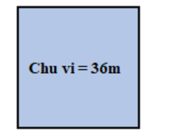 Chu vi hình vuông là 36 m thì diện tích sẽ là:   	A. 6 m2 	B. 36 m2	C. 9 m2	D. 81 m2 (ảnh 1)