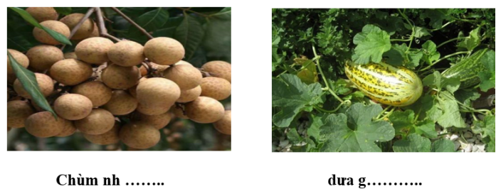 Điền vần an hay ang vào dấu chấm: (ảnh 1)