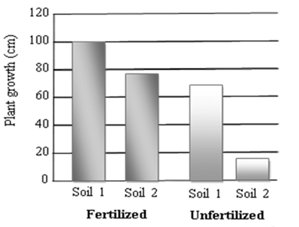 A scientist wants to know how a certain fertilizer affects the growth of tomato plants growing in two different soils. What conclusion can be drawn from the graph shown on the right?   A. Soil 1 and Soil 2 are the same. B. The fertilizer has a greater effect in Soil 1. C. The fertilizer has a greater effect in Soil 2. D. Soil 1 absorbs more fertilizer than Soil 2. (ảnh 1)