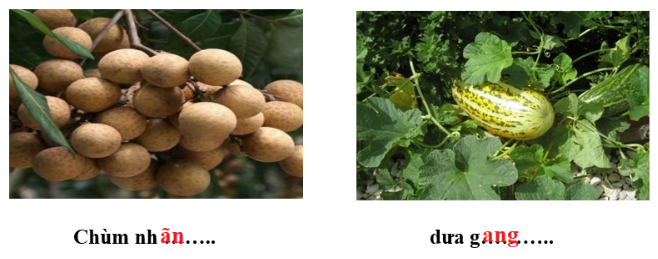 Điền vần an hay ang vào dấu chấm: (ảnh 2)
