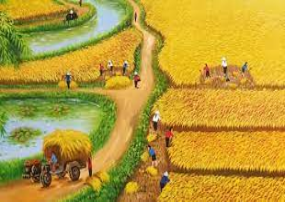 a. Bà con xã viên ................... b. .....................làm rộn ràng cả cánh đồng quê. (ảnh 1)