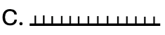 What is the symbol for the national border on a map?   (ảnh 3)