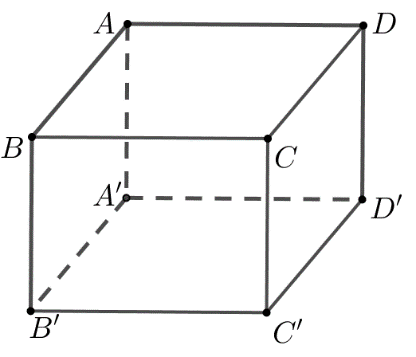 C (ảnh 1)
