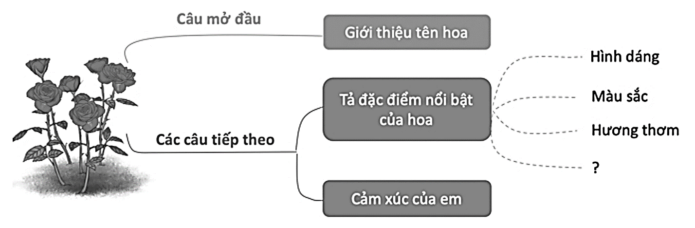 Viết đoạn văn tả hoa của một cây hoa em thích, trong đoạn văn có hình ảnh so sánh hoặc nhân hóa. (ảnh 1)