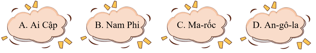 Chế độ a-pác-thai xuất hiện ở đất nước nào? (ảnh 1)