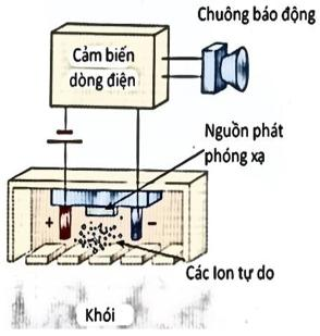 C (ảnh 1)