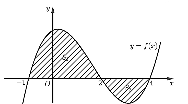 v (ảnh 1)