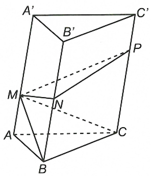 c (ảnh 1)