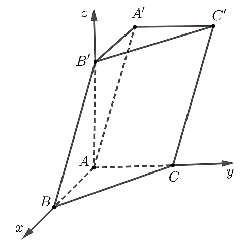 v (ảnh 1)
