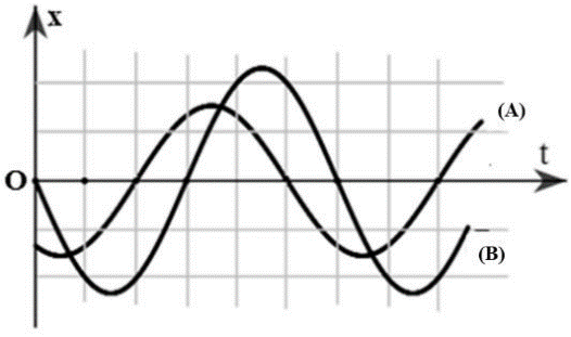 c (ảnh 1)