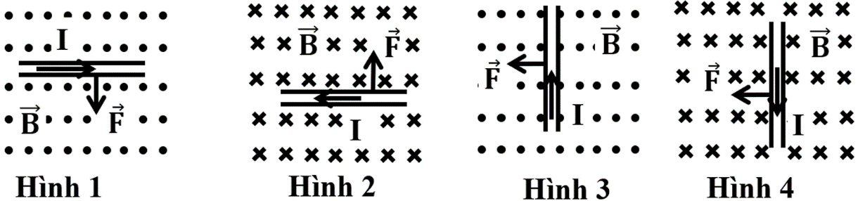 c (ảnh 1)