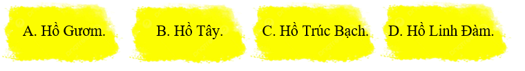 Cây lộc vừng được trồng ở đâu? (ảnh 1)
