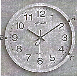 V (ảnh 1)