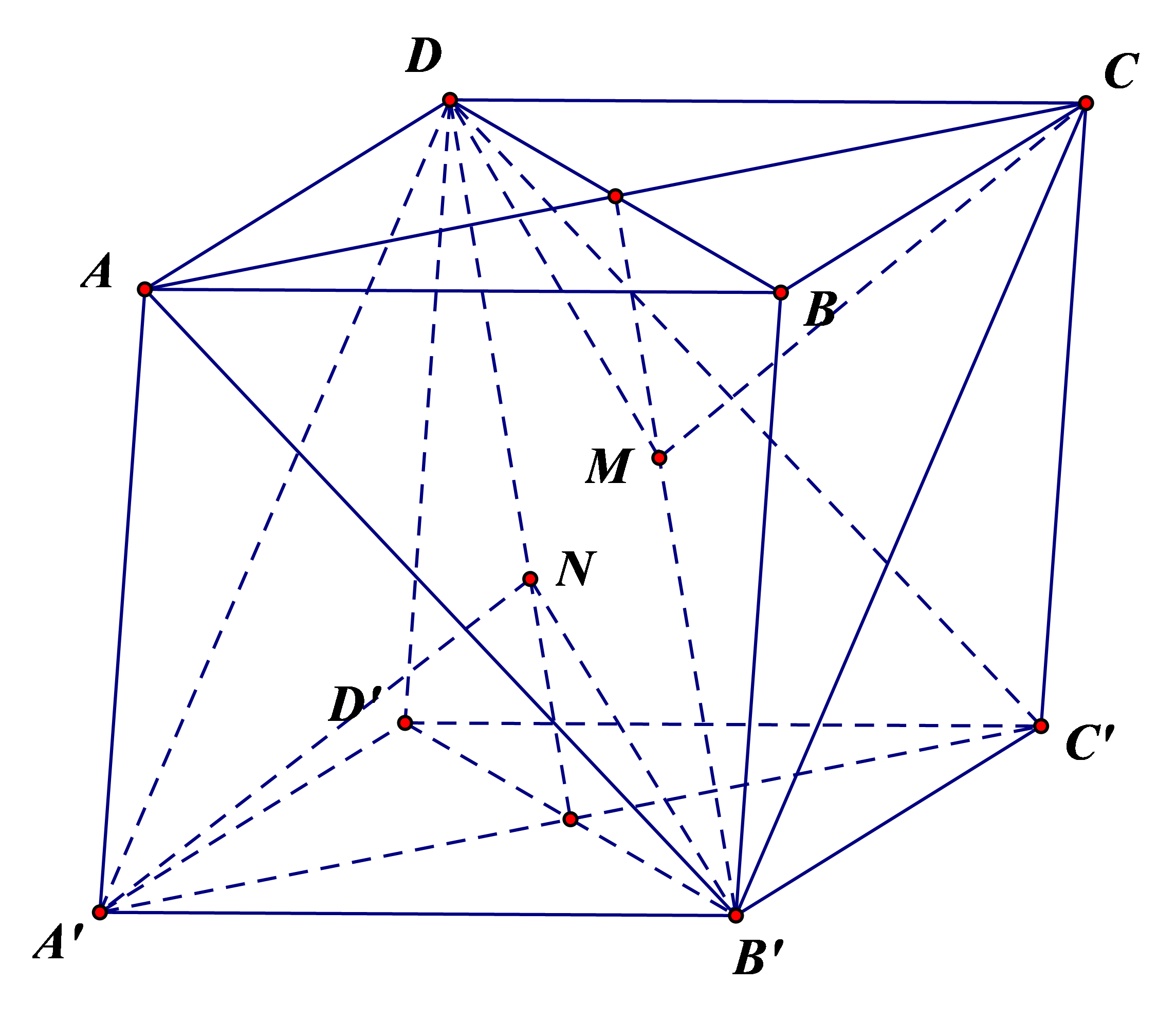 A'C' // (ABCD). (ảnh 1)