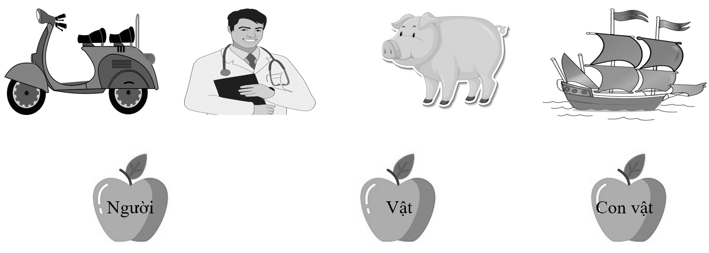 Em hãy nối hình và chữ sao cho phù hợp: (ảnh 1)