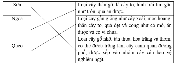 Nối các từ với nghĩa phù hợp. (ảnh 1)