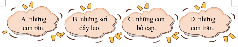Bộ rễ của Giàn Gừa được so sánh với: (ảnh 1)
