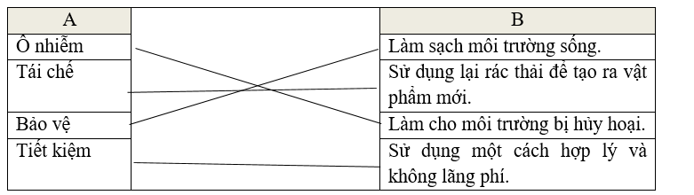 Nối từ ở cột A với nghĩa phù hợp ở cột B? (ảnh 1)