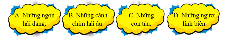 Theo bài viết, những con mắt của biển là gì? (ảnh 1)