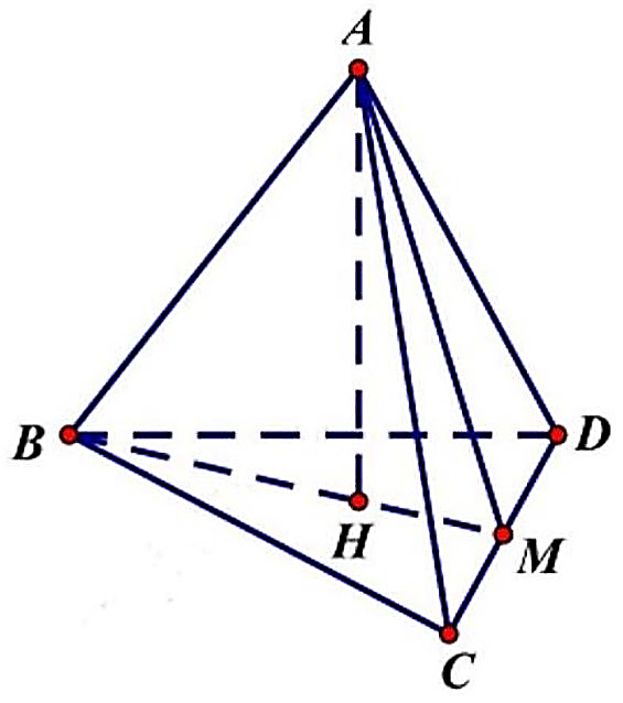 V (ảnh 1)