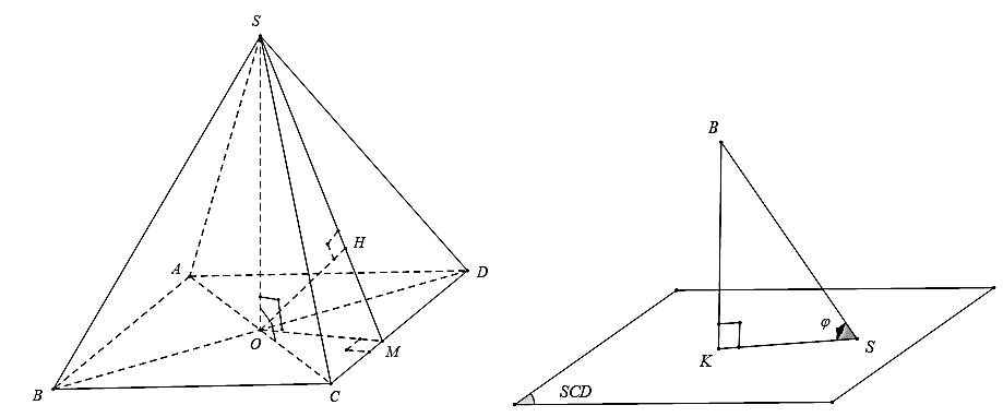 V (ảnh 1)