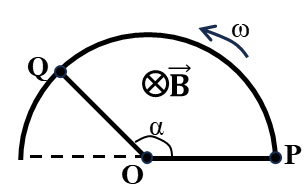 X (ảnh 1)