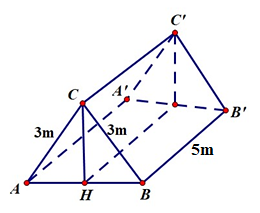 C (ảnh 2)