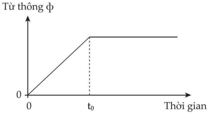 Suất điện động cảm ứng trong cuộn dây (ảnh 1)