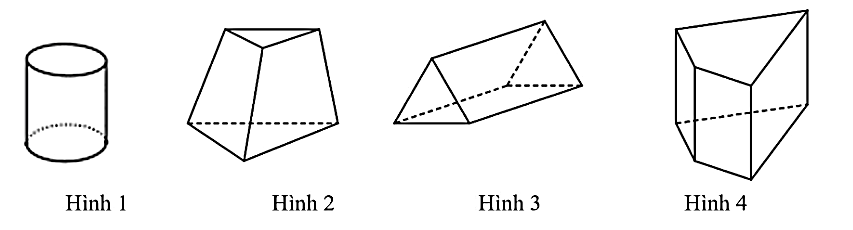 Trong các hình sau, hình nào là lăng trụ đứng tam giác?  (ảnh 1)