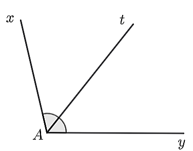 v (ảnh 1)