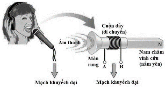 a (ảnh 1)