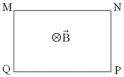 C (ảnh 1)