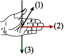 Chiều (1), (2), (3) trên hình vẽ lần lượt là chiều của (ảnh 1)