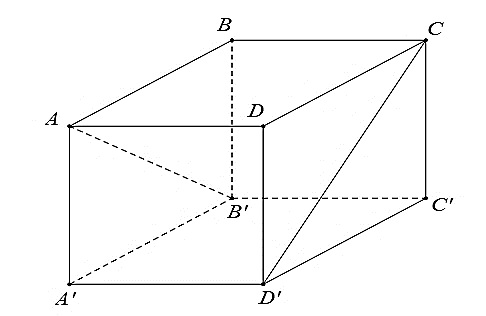 v (ảnh 1)