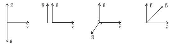 B (ảnh 1)