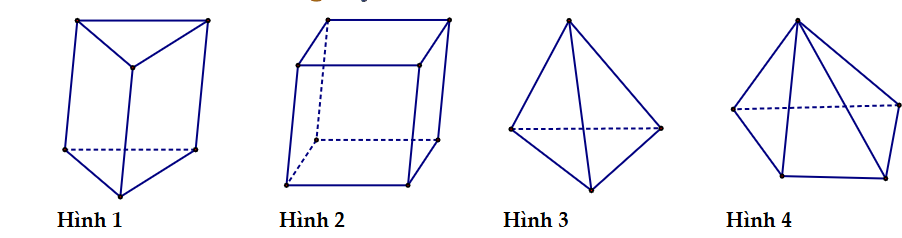 Trong các hình dưới đây, hình nào biểu diễn hình hộp trong không gian?  	 (ảnh 1)