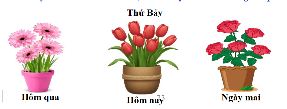 Hãy điền các từ “ thứ Sáu”, “Chủ nhật” vào chỗ trống cho phù hợp. (ảnh 1)
