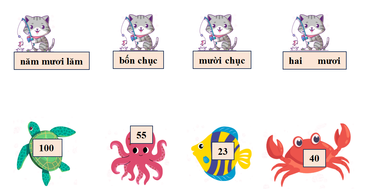 Nối: (ảnh 1)