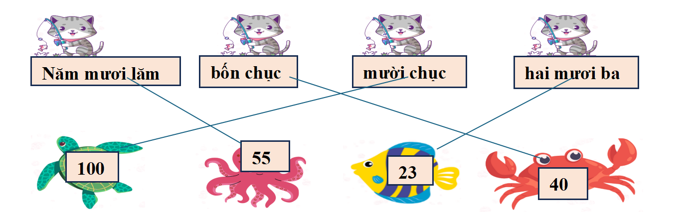 Nối: (ảnh 2)