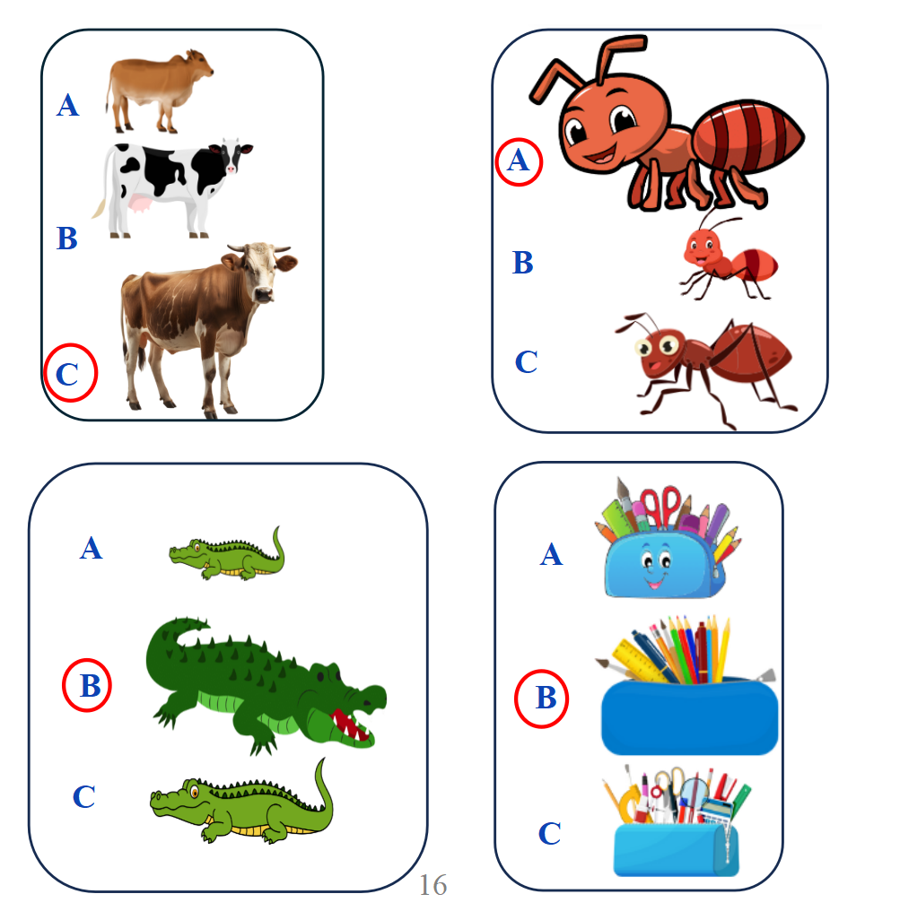 Khoanh vào chữ cái trước đáp án có con vật (đồ vật) dài nhất (ảnh 2)