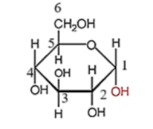 Dạng mạch vòng của α-glucose có cấu tạo như hình dưới đây.  Nhóm −OH hemiacetal ở vị trí của carbon số (ảnh 1)