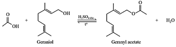 Geraniol là một alcohol không no có trong tinh dầu hoa hồng, tinh dầu sả và nhiều loại tinh dầu thảo mộc khác. Từ geraniol có thể điều chế được geranyl acetate theo sơ đồ phản ứng sau:  a). Oxi hóa geraniol bằng CuO, đun nóng thu được một aldehyde Y. Với 15,2 gam Y có thể tác dụng tối đa 7,437 lít H2 (đkc).  b). Mỗi một chai nước hoa cỡ nhỏ (size S) với kích cỡ 50,0 mL có chứa 80% về thể tích geranyl acetate. Biết khối lượng riêng của geranyl acetate là 0,916 g/mL. Để điều chế 3 triệu chai nước hoa size S cần 56,08 tấn acetic acid (hiệu suất phản ứng là 60%).  c). Geraniol có công thức phân tử là C10H16O.  d). Geranyl acetate là ester thơm, đơn chức. (ảnh 1)
