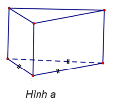 Cho các hình vẽ sau:  	 	 	  Trong những hình dưới đây, những hình nào là hình chóp tam giác đều? (ảnh 1)